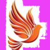 FQC Rank 4 - 120 to 159 Freedom points